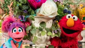 Abby's Garden Party