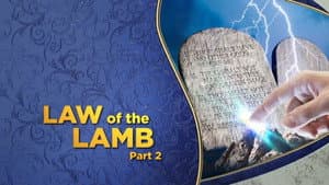 The Law of the Lamb, Pt. 2
