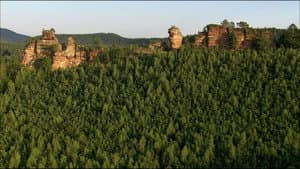 The Palatinate Forest