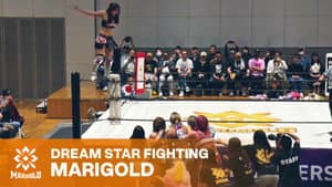 Marigold Shining Attack 2026 ~ Day 5