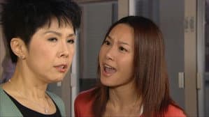 Episode 29