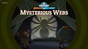 Mysterious Webs