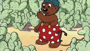 Barnaby Bear in the Cactus Grove