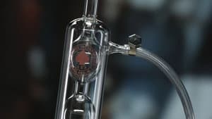 Plant Oil Extractors, Custom-Made Chandeliers, Power Trainers, Coffee Pods