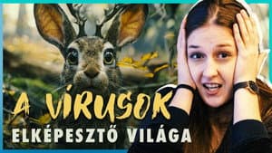 Az AGANCSOS nyulaktól a SZUPERVÍRUSOKIG