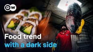 The sushi hype- Ravenous appetites and species extinction