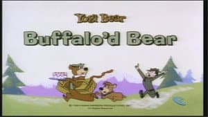 Buffalo'd Bear