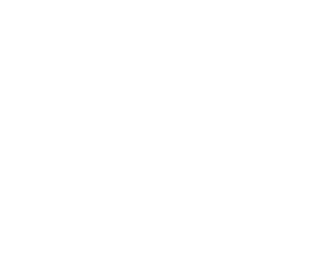 Jungle Junction