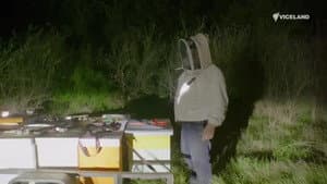 Bee Expansion