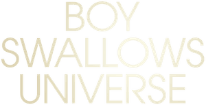 Boy Swallows Universe