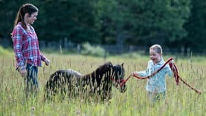 A Horse with No Rider
