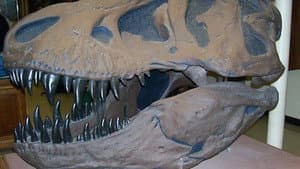 Dino Meteor