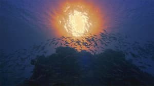 The Anthropocene