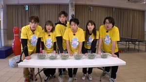 Episode 17