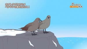 Episode 29