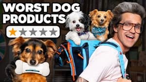 Are These New Pet Products Worth It?