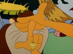 A Dingo's Guide to Magic