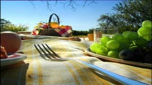 Picnic