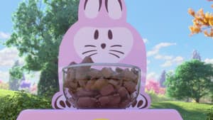 Chocolate Bunnies