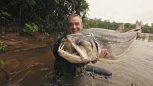 Fresh Bait