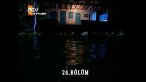 Episode 24