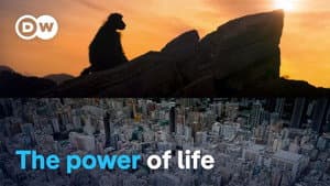 The story of our planet