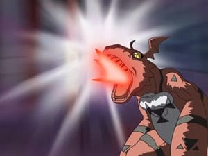 Much Ado About Musyamon