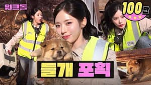 Thought We’d “Work Like Dogs”… So We Caught Strays | Animal Control | Workdol | fromis_9 Jiwon