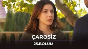 Episode 25
