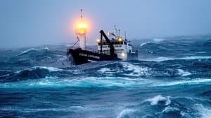 Typhoon Sea State