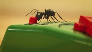 Ants on the train