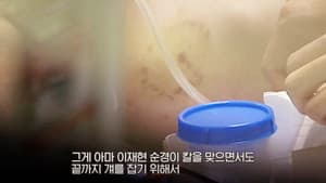 Episode 140