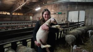 Young French people take over old farms