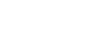 Selena: The Series