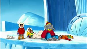 The Polar Adventure