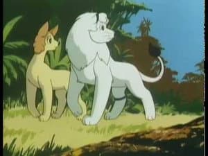 The First Adventure
