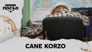 2247 Cane Korzo