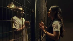 Jayshree’s Mission to Free Mohan