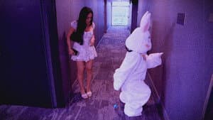 Lola the Bunny