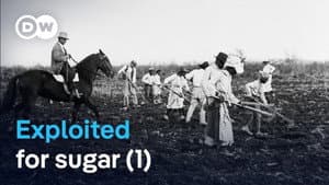 How sugar created slavery (1/2)