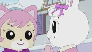 Episode 41