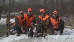 Pheasant Hunt