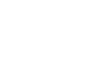 The Long Kiss Goodnight