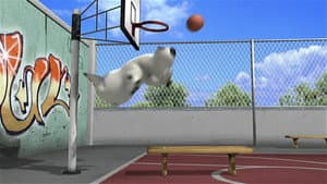 Basketball
