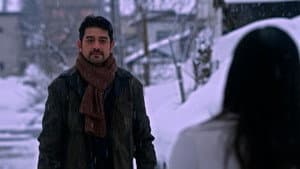 Snowfall