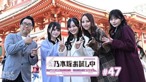 Episode 12