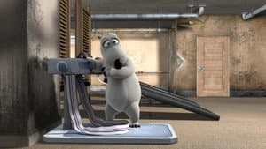 The Gym