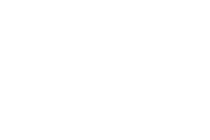 Lonesome Dove