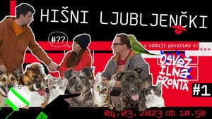 Pets