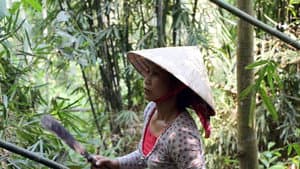 Through the Jungles of Vietnam